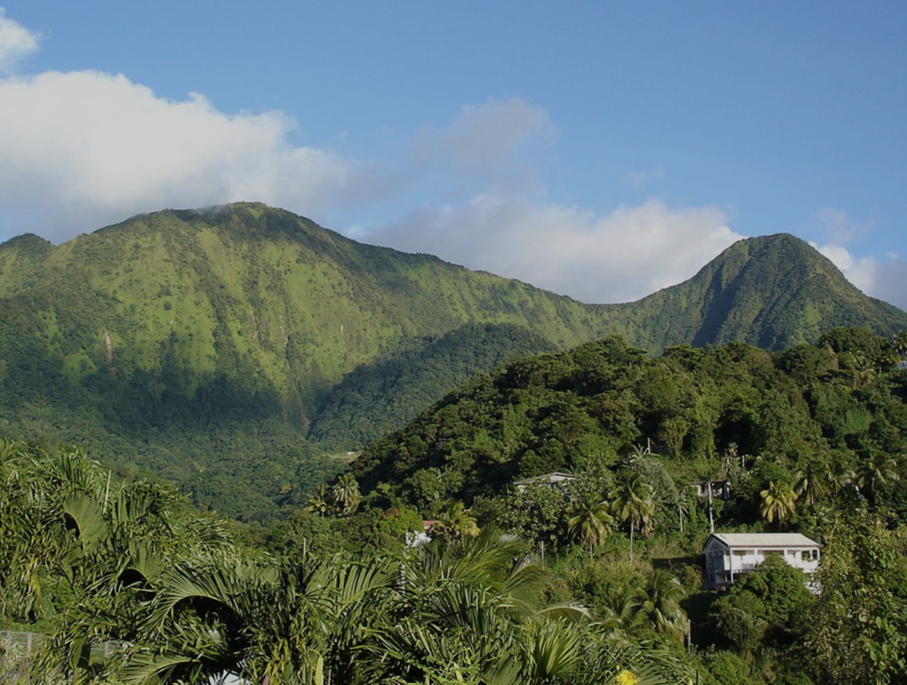 piton 930